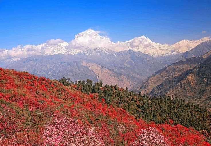 Khopra Danda Trek trek in Nepal