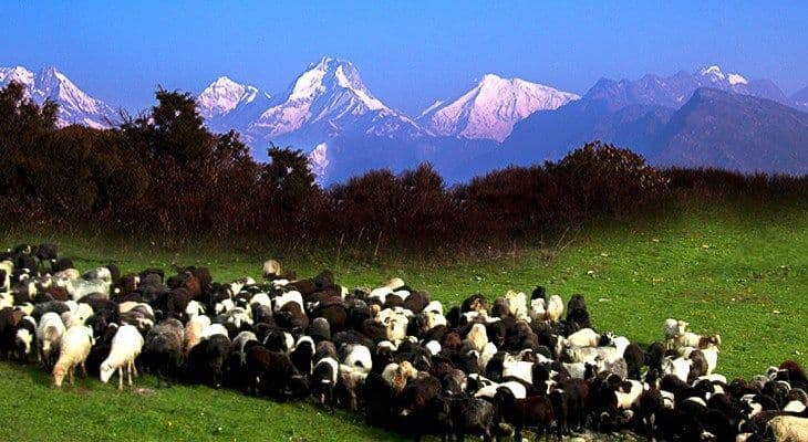 Ganesh Himal Trek gallery image 1