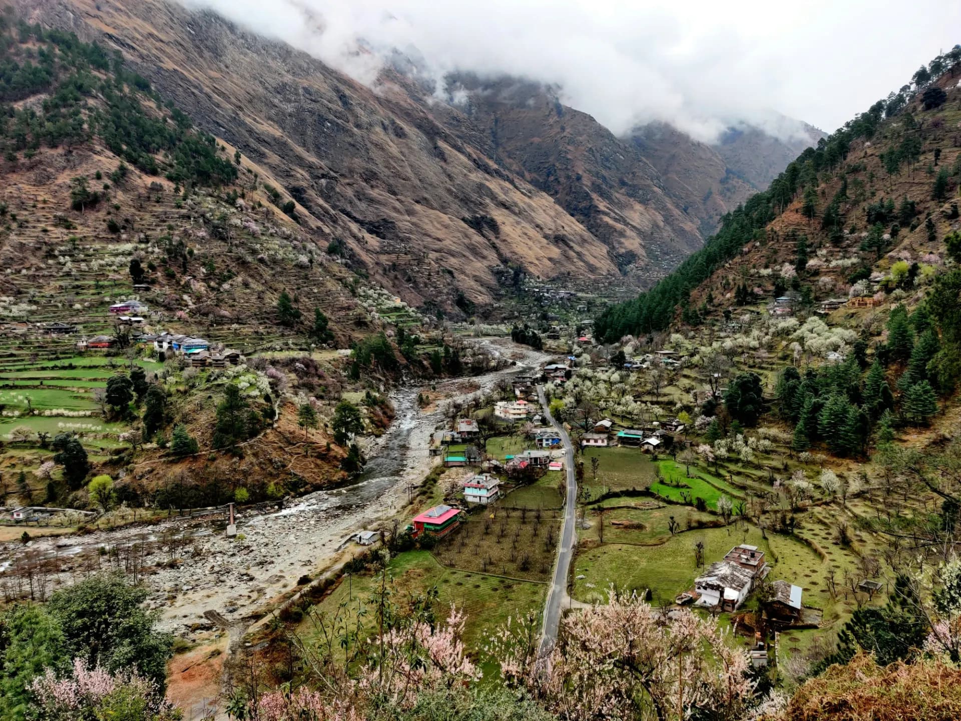 Dhaulagiri Circuit Trek gallery image 3