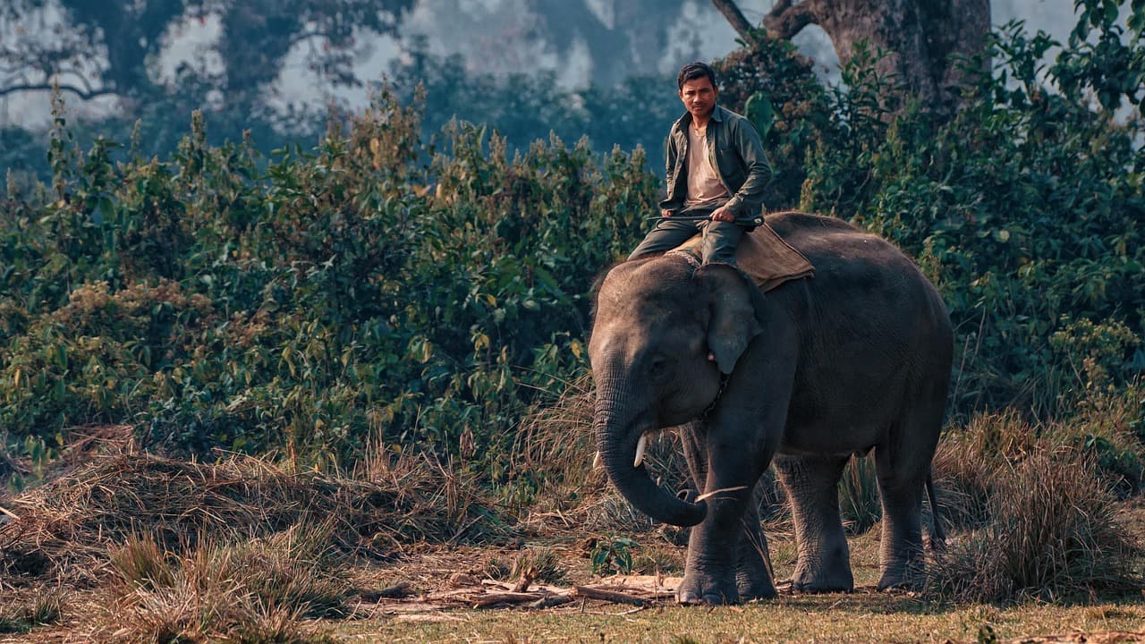 Chitwan